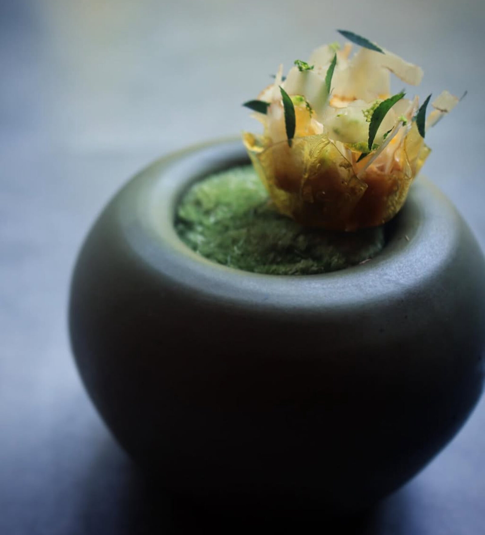 Evett dish — savory tart cup with shaved cheese and herbs in a stone pot