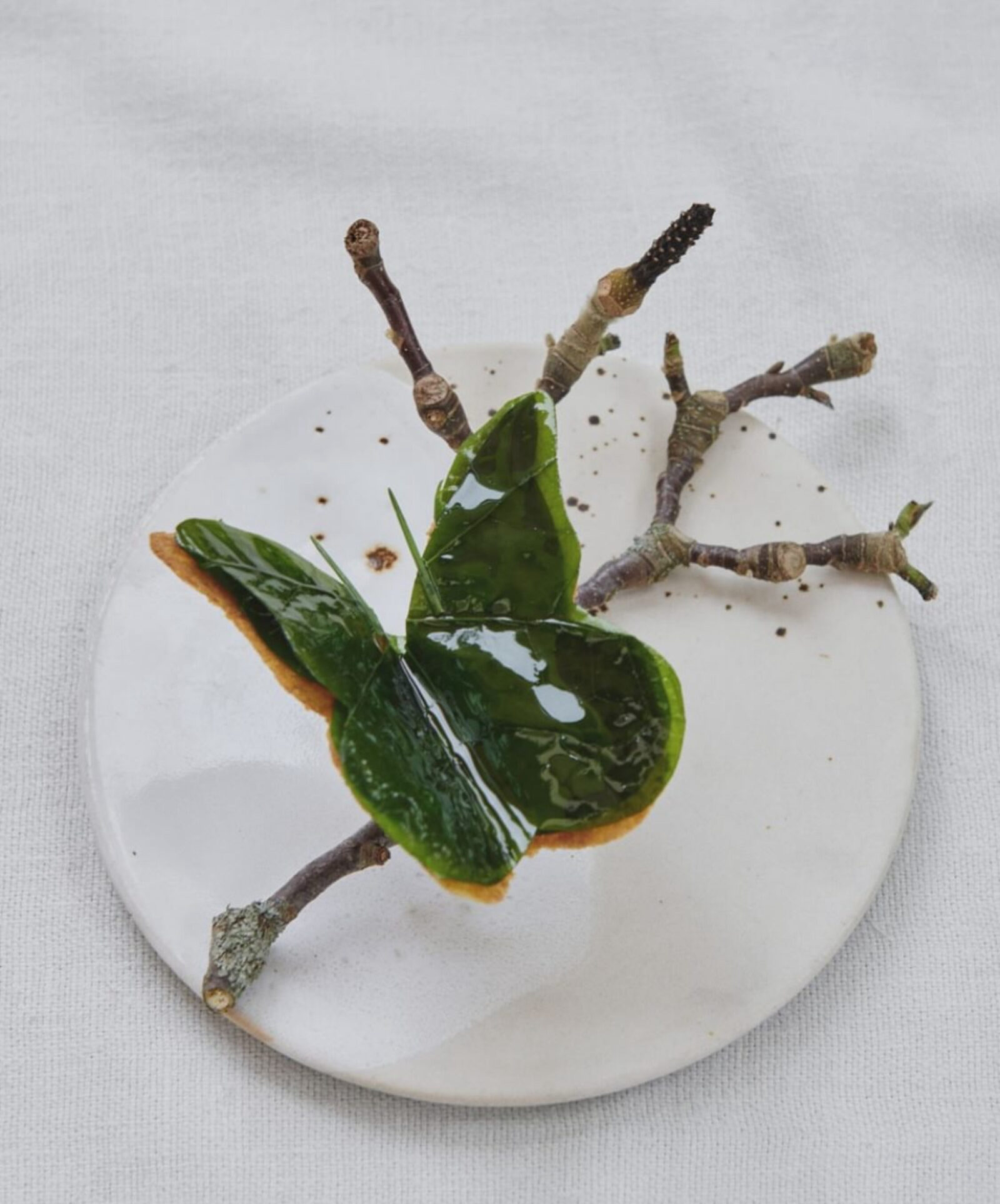 Noma dish — butterfly-shaped leaf plating with twigs