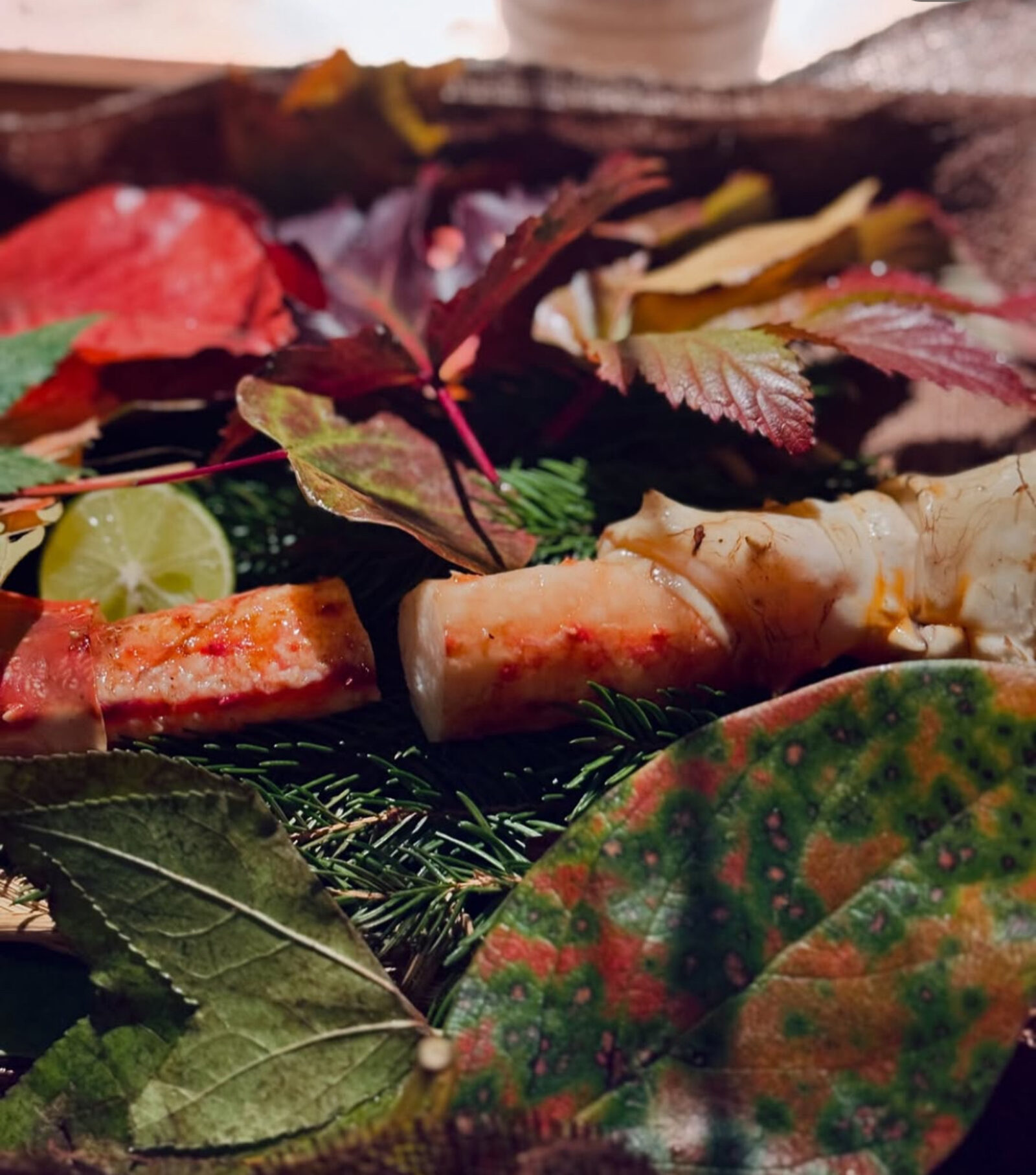 Noma dish — shellfish with autumn leaves and lime