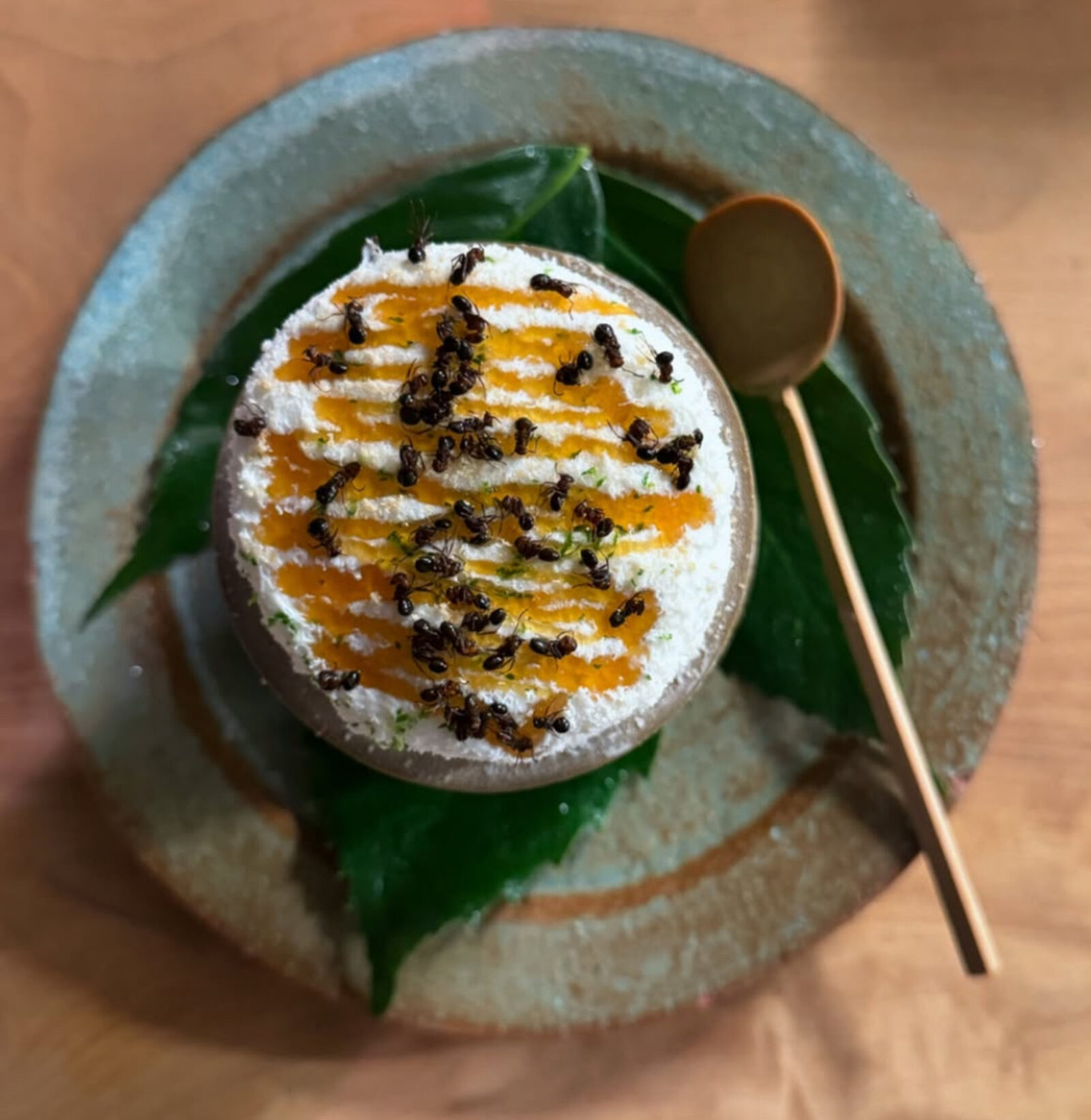 Noma dish — whipped cream with ants and citrus