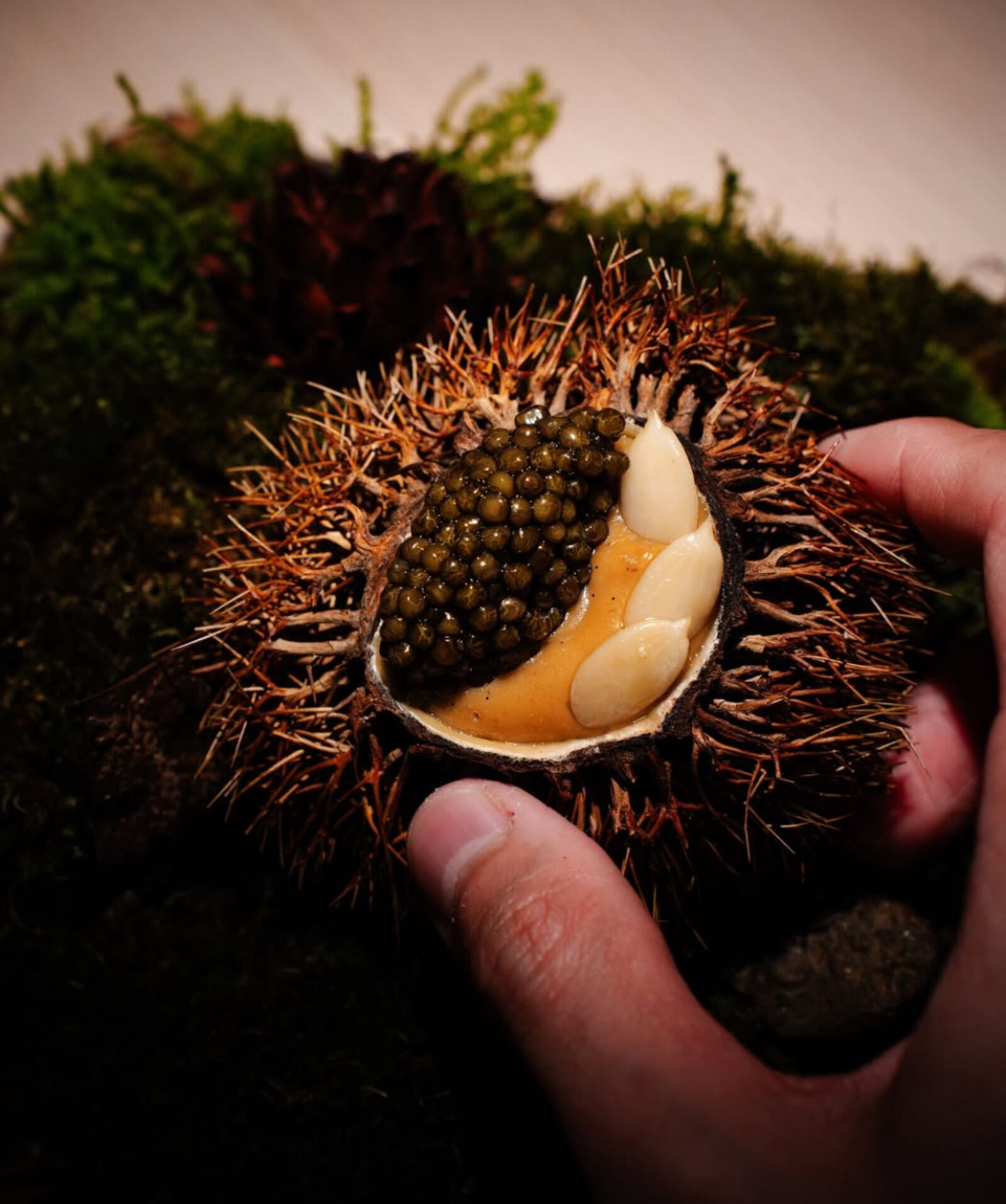 Noma dish — chestnut shell with caviar and almond