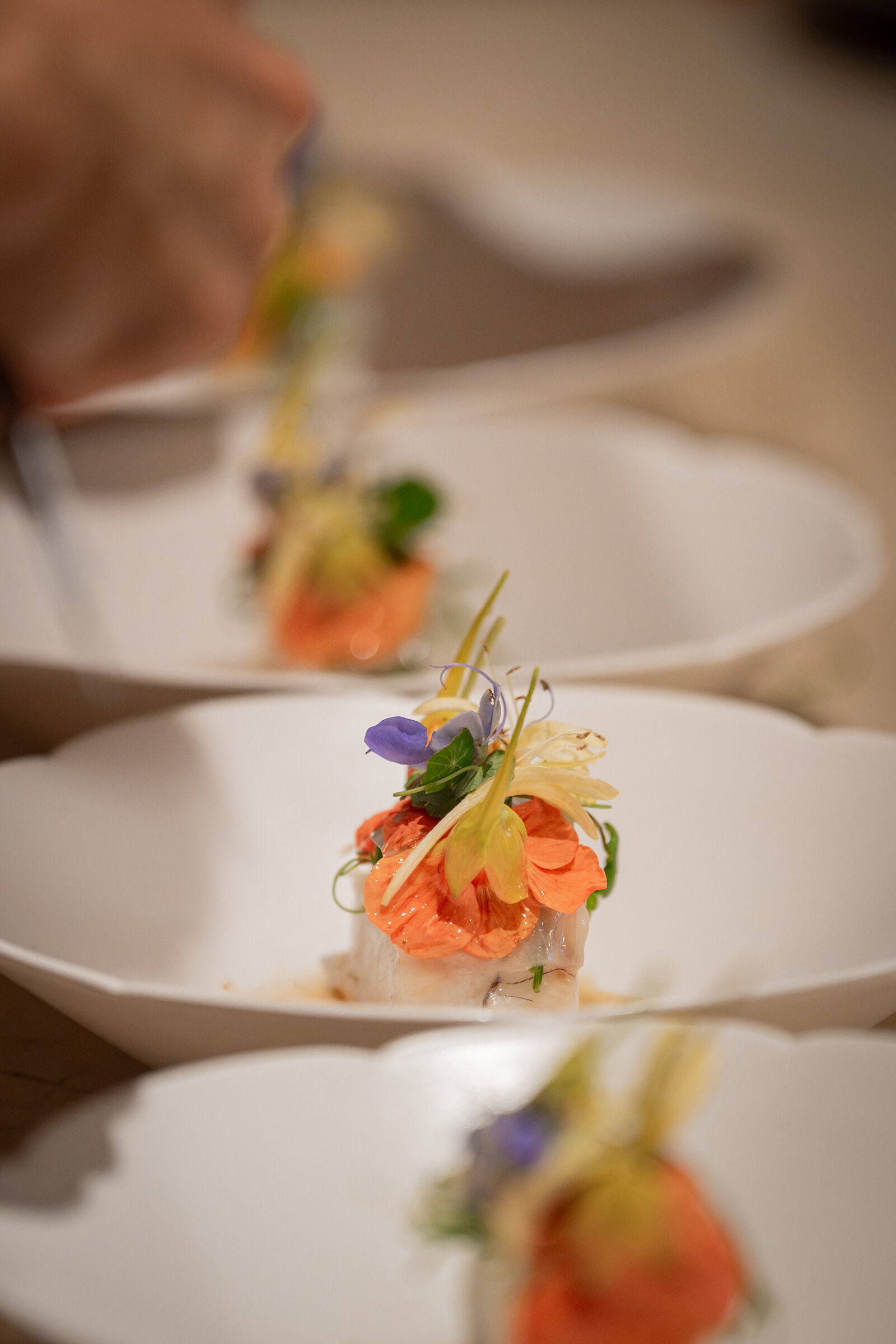 Croaker, kohlrabi dashi, chamnamul puree, lardo plating